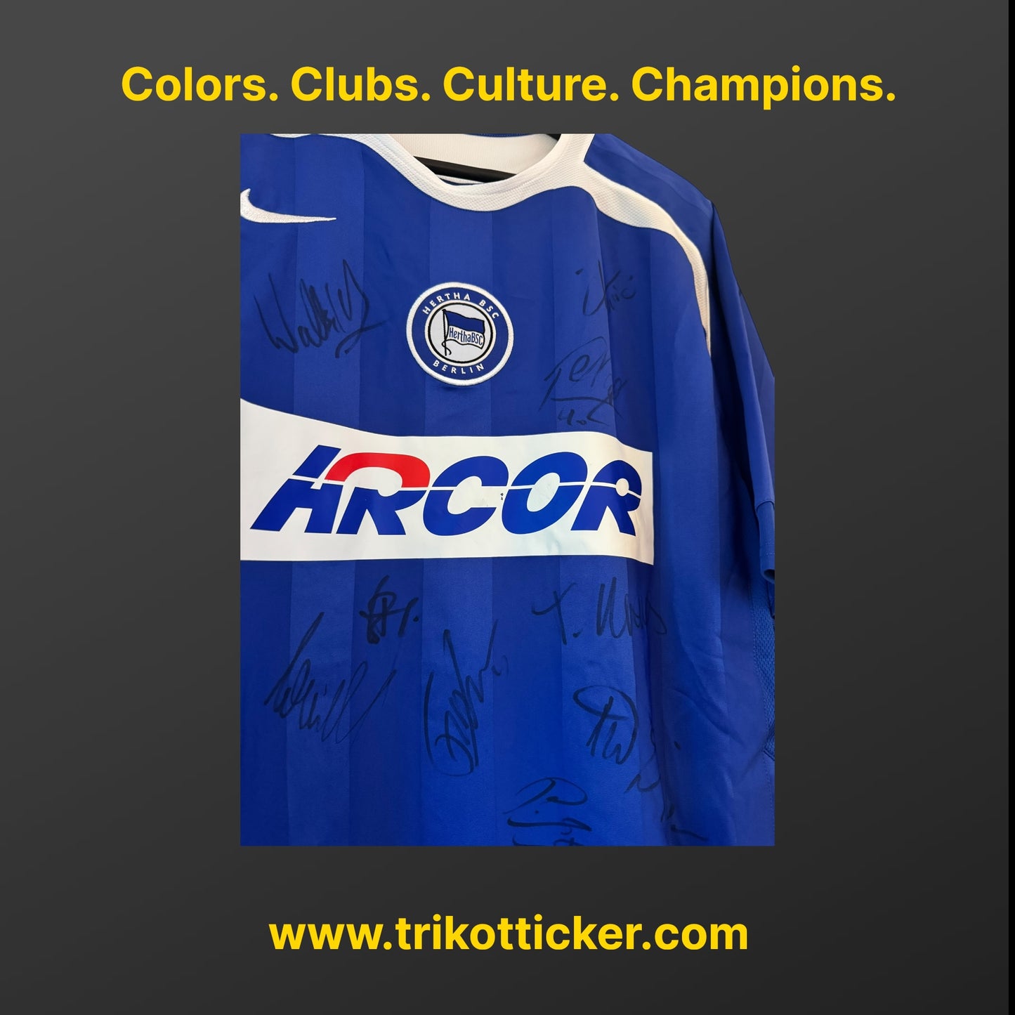 Zecke Neuendorf Trikot Original Hertha BSC 05/06 L Deutschland Bundesliga