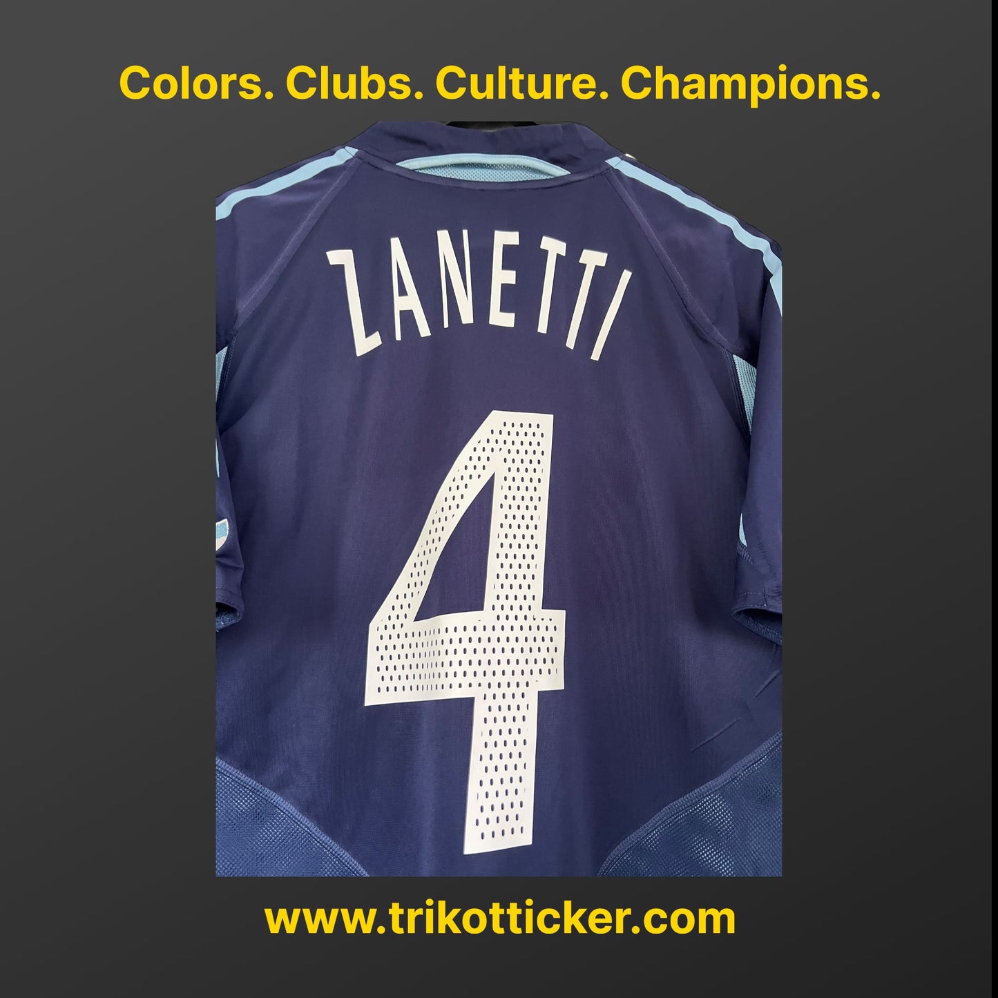 Javier Zanetti Original Trikot Argentinien 2004 M Away International