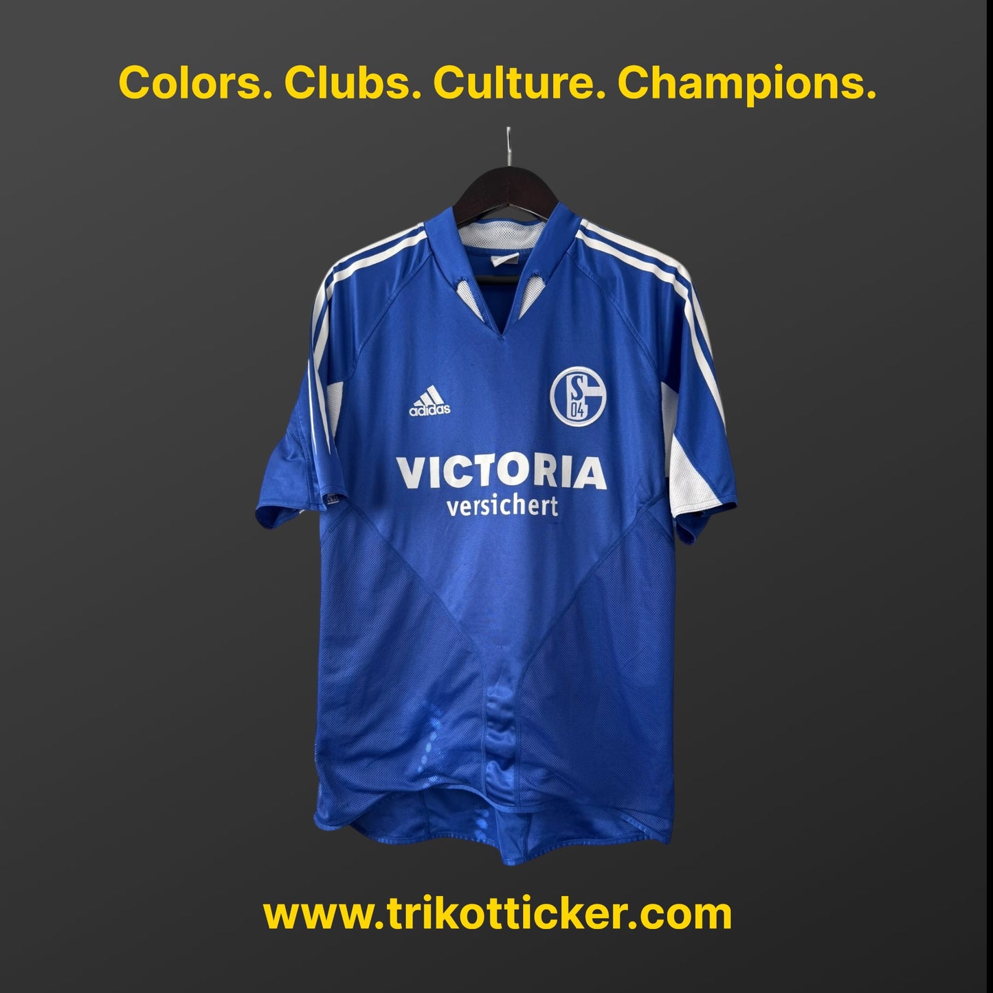 Fabian Ernst Original Trikot FC Schalke 04 04/05 M Home