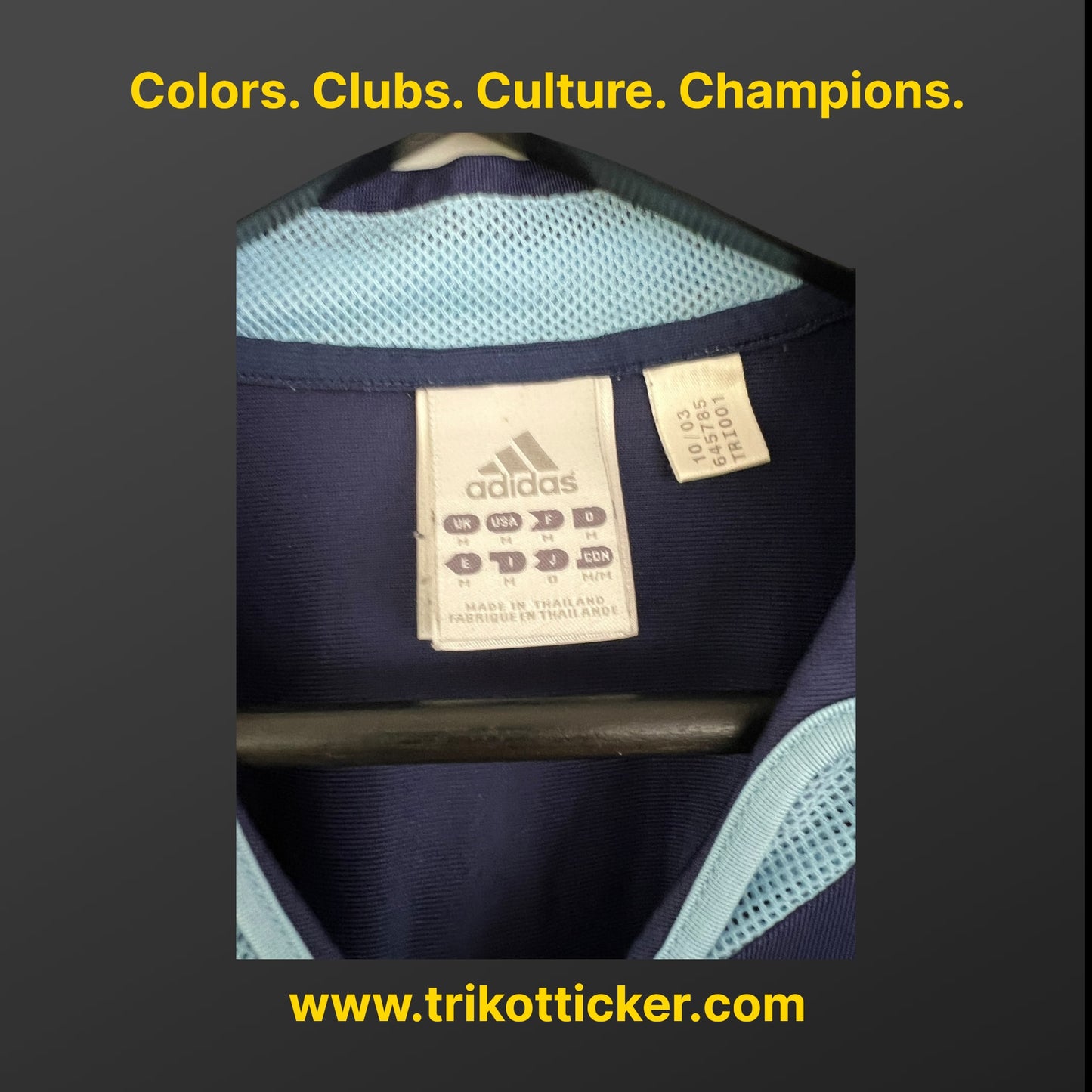 Javier Zanetti Original Trikot Argentinien 2004 M Away International