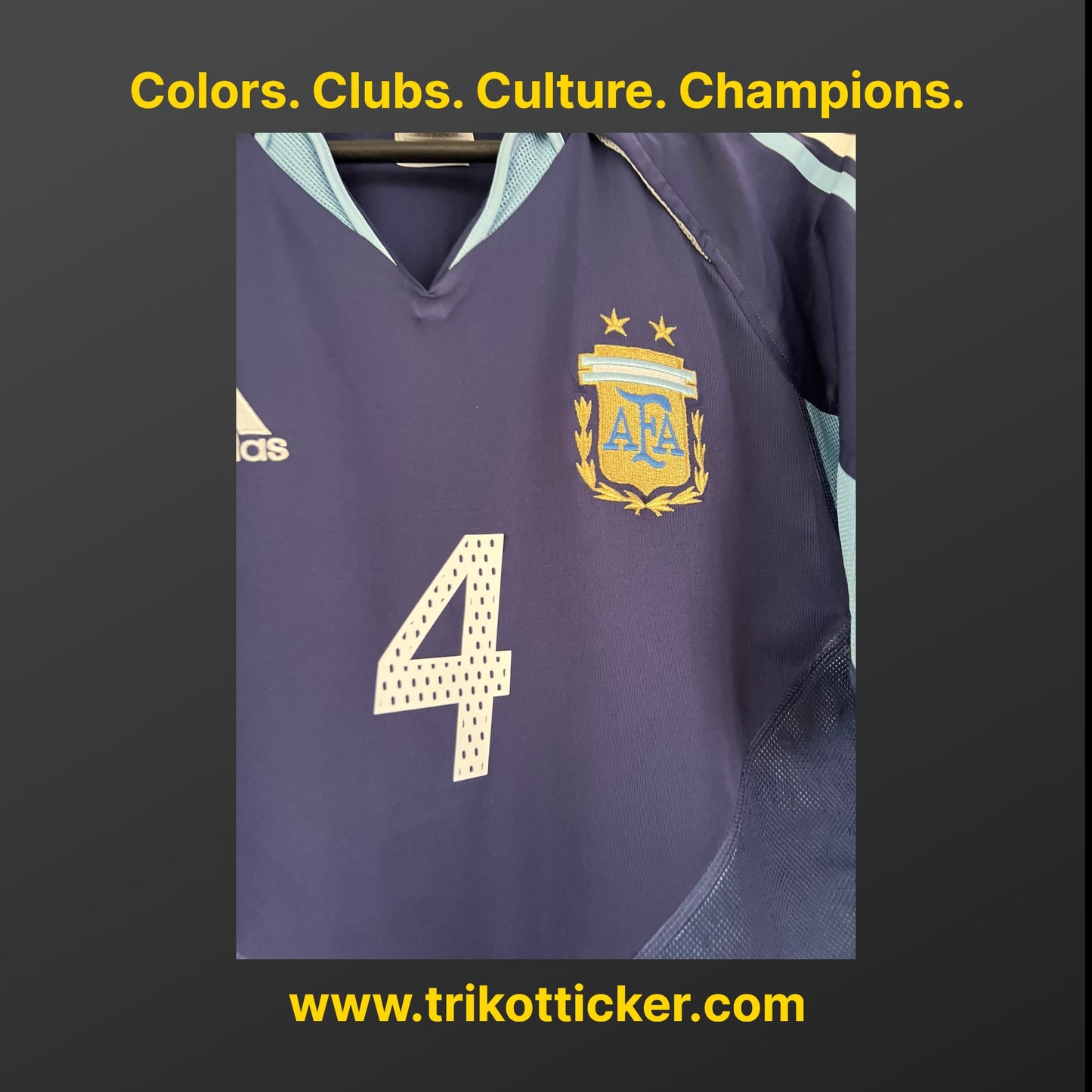 Javier Zanetti Original Trikot Argentinien 2004 M Away International