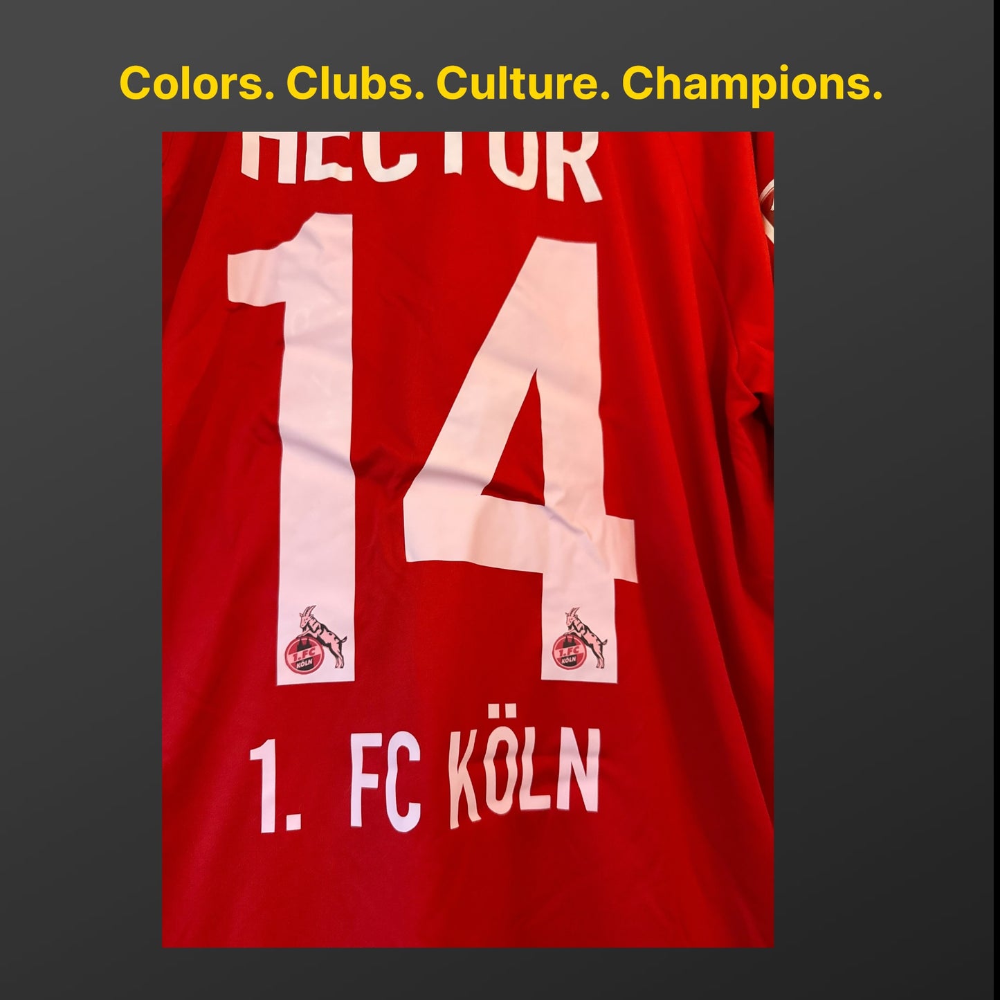 Jonas Hector Original Trikot 1.FC Köln 15/16 Away L