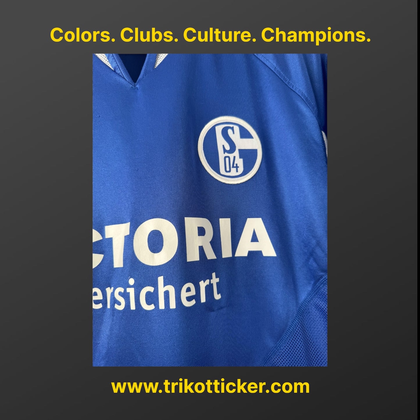 Fabian Ernst Original Trikot FC Schalke 04 04/05 M Home