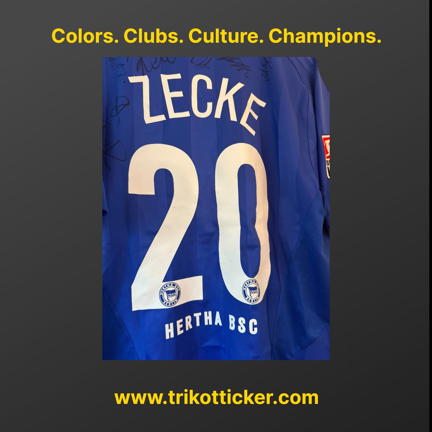 Zecke Neuendorf Trikot Original Hertha BSC 05/06 L Deutschland Bundesliga