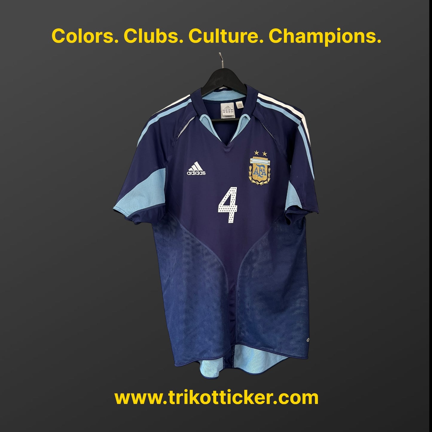 Javier Zanetti Original Trikot Argentinien 2004 M Away International