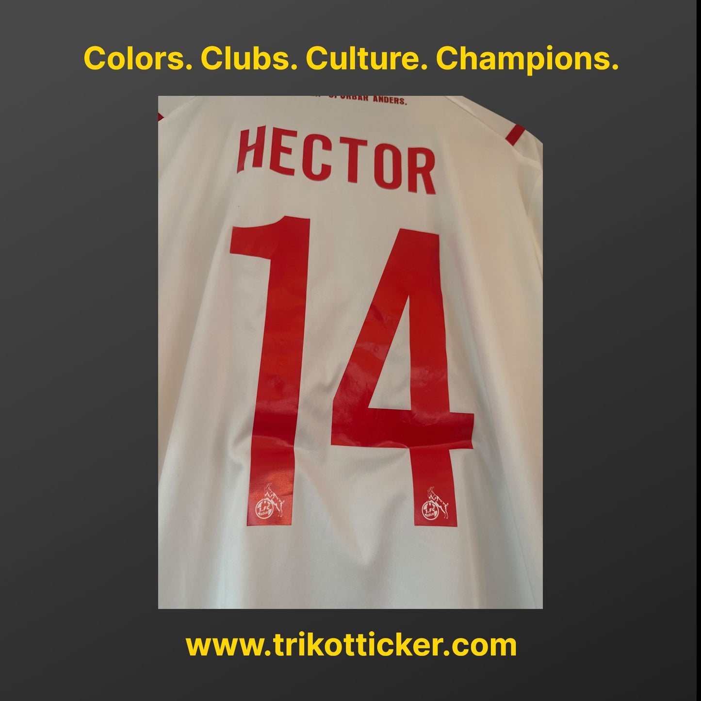 Jonas Hector Original Trikot 1. FC Köln 19/20 L Home Deutschland Bundesliga