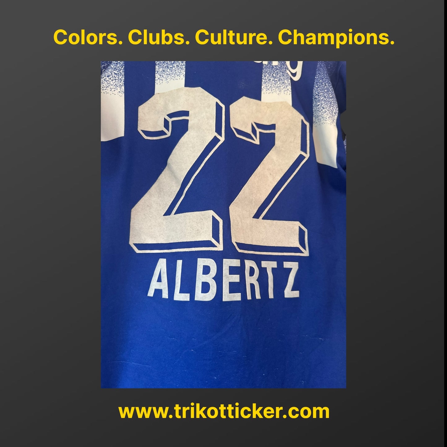 Jörg Albertz Original Trikot Hamburger SV 95/96 M Home Deutschland Bundesliga HSV