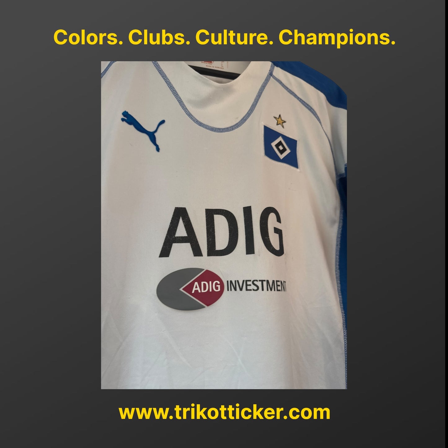 Sergej Barbarez Original Trikot Hamburger SV 04/05 L Home Deutschland HSV