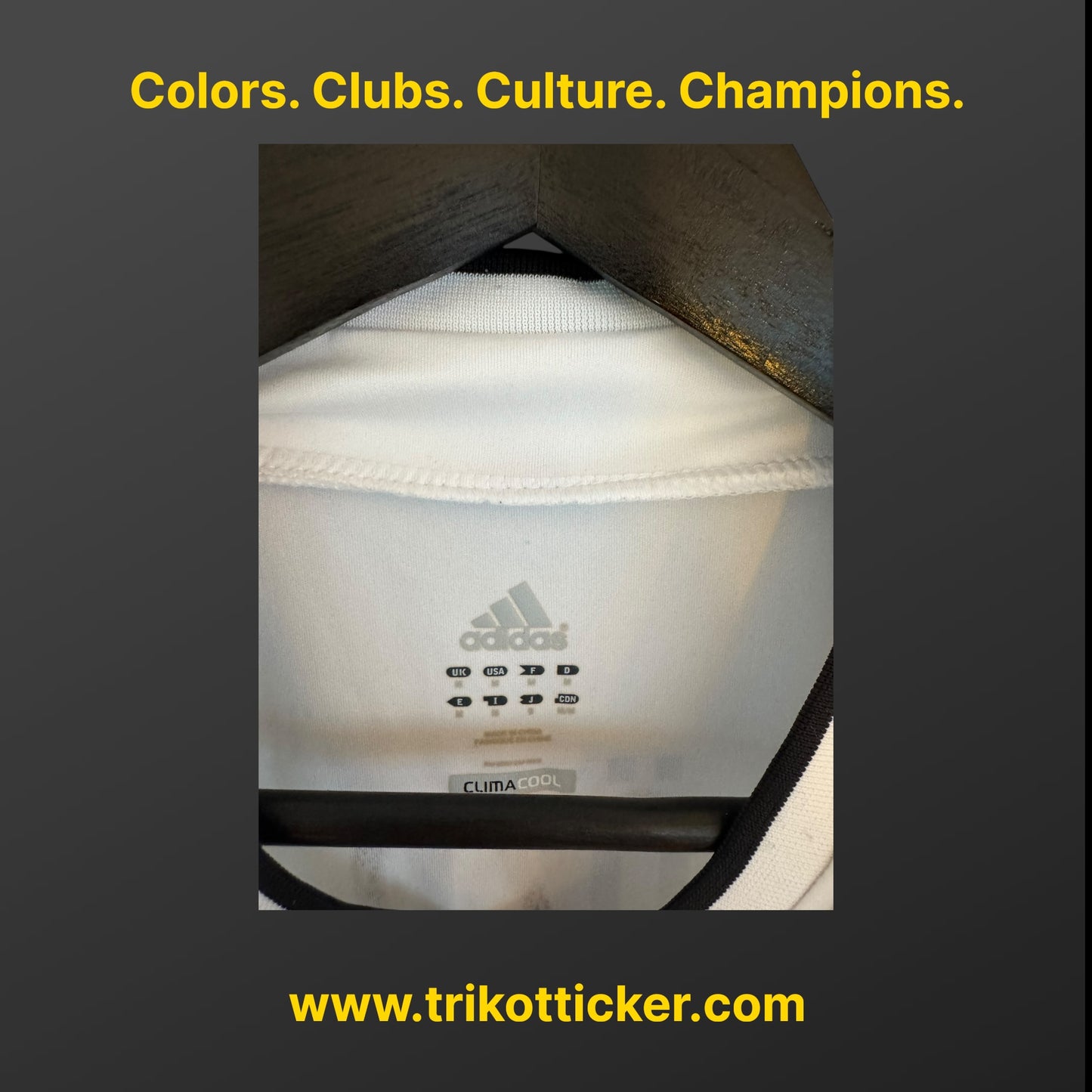 Mesut Özil Trikot Original DFB 2012 Home M Deutschland National