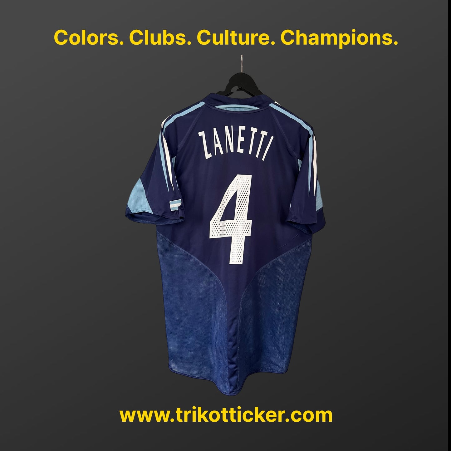 Javier Zanetti Original Trikot Argentinien 2004 M Away International