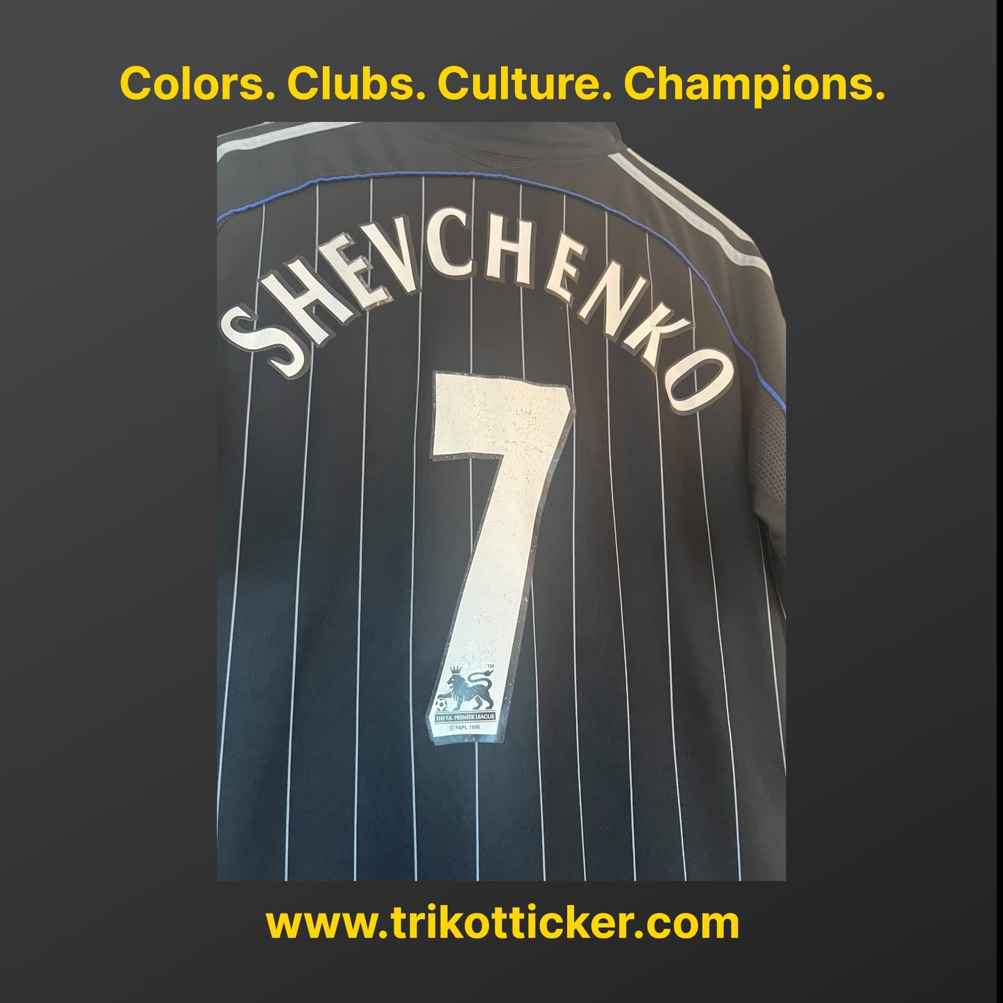 Andriy Shevchenko Original Trikot Chelsea London FC 06/07 M Third England Premier League
